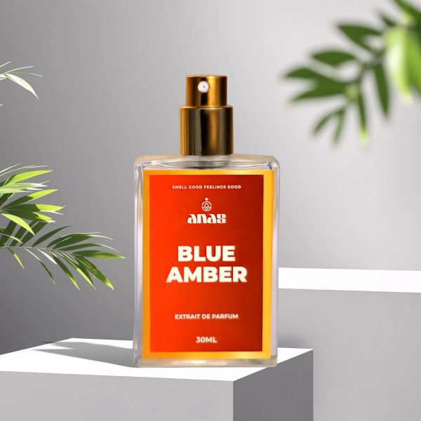 Blue Amber - Inspired By Bleu De Chanel